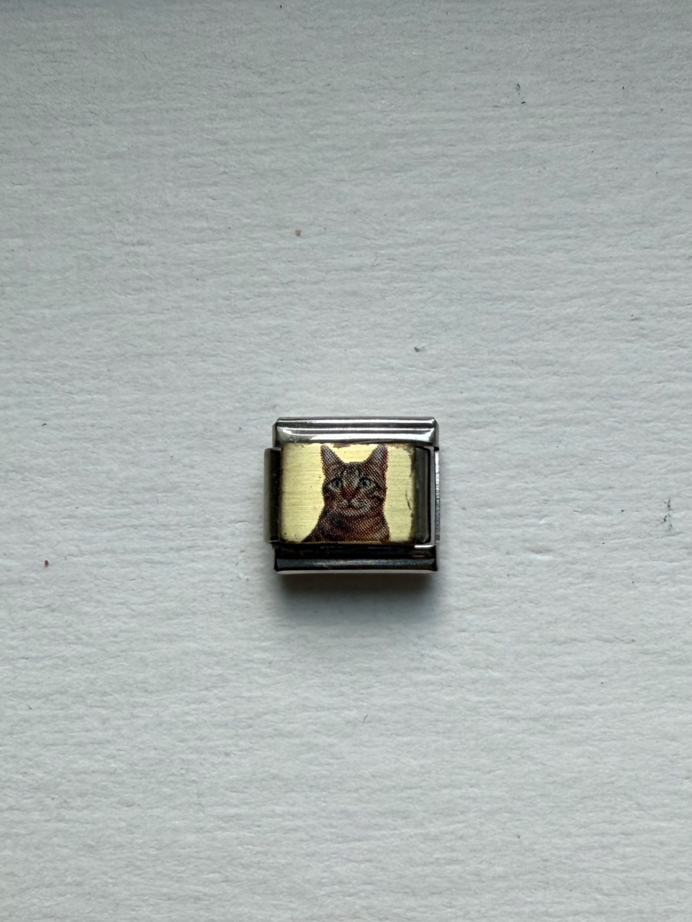 Italian Charm Link with Cat Motif in Gold Tone